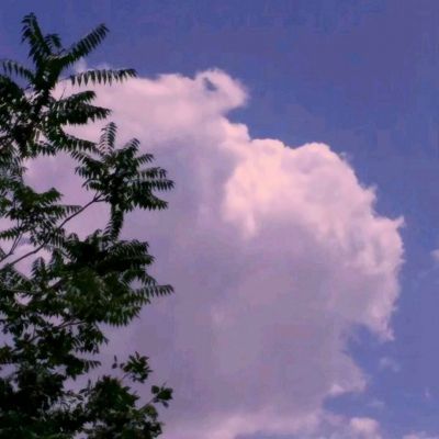 焚天神诀手游(暂未上线)v1.0 官方安卓版